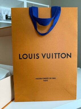 Louis Vuitton Boutique Gift Bag